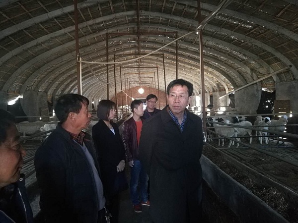 洛阳市人大常委会副主任马振宇赴新安县曹村乡调研脱贫攻坚工作