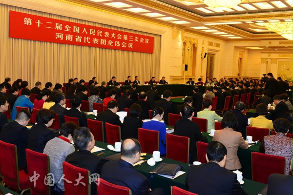 河南代表团举行全体会议 审查计划报告和预...