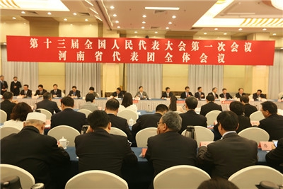 河南代表团举行全体会议审议国务院机构改革...
