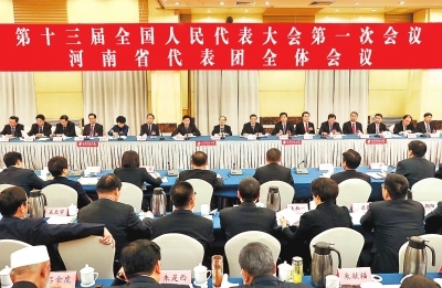河南代表团审议宪法修正案草案