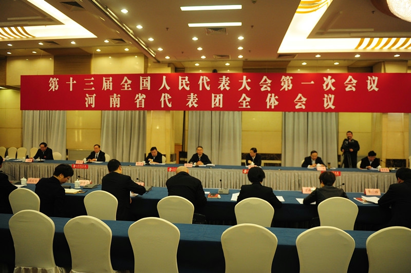 河南代表团举行小组会议和联组会议并举行开...